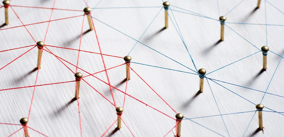 Netlinking local