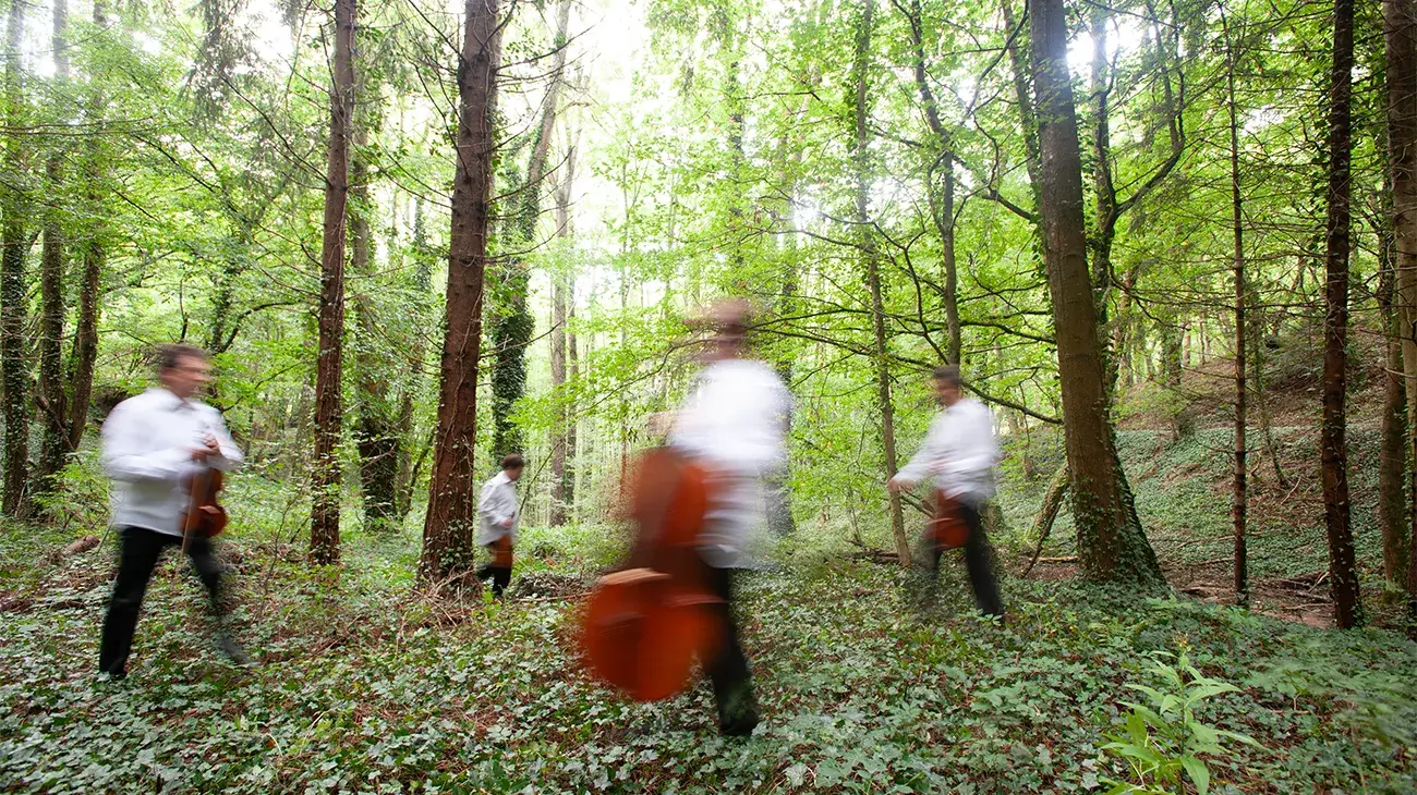 Photo du Quatuor Debussy édition 2014- forêt floue