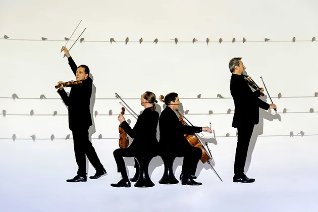 Photo du Quatuor Debussy édition 2023-2025 - projection image oiseaux