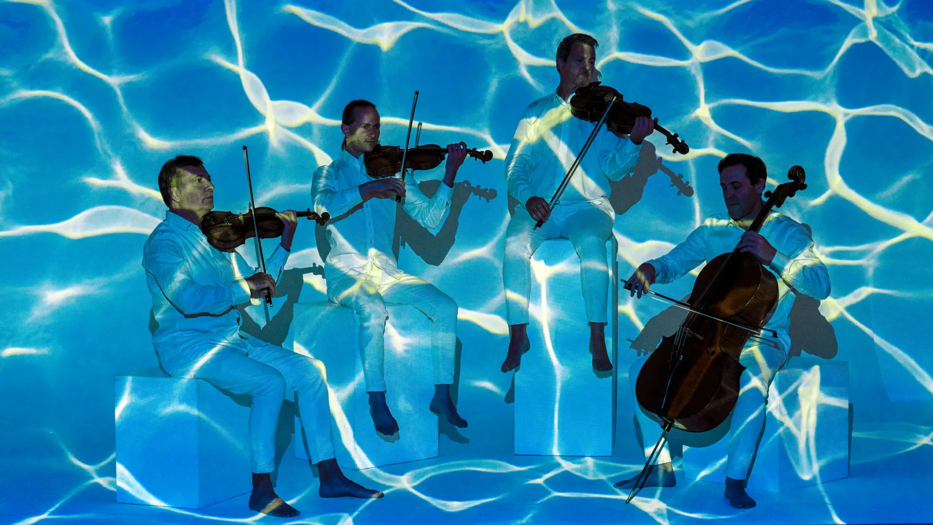 Photo du Quatuor Debussy édition 2023-2025 - projection image piscine