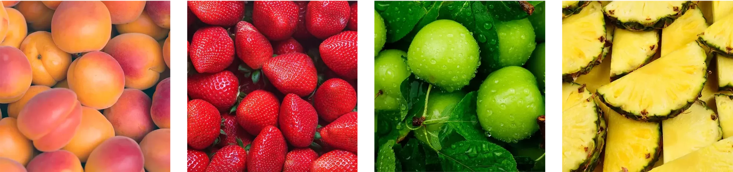 Images de fruits servant d'écrin pour le logo d'Authentifruits